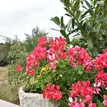 Holiday home Gemuetlicher Mit Garten In