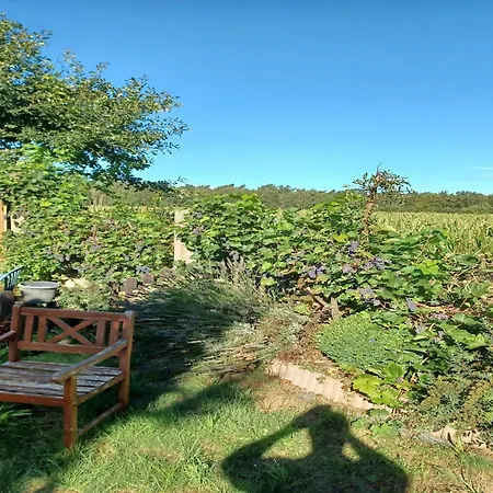 Casa vacanze Gemuetlicher Mit Garten In *