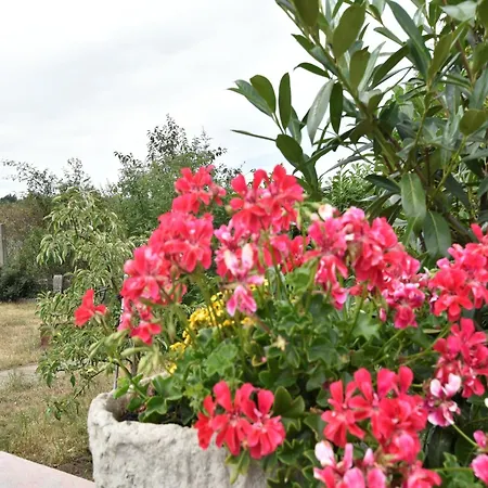 Casa vacanze Gemuetlicher Mit Garten In