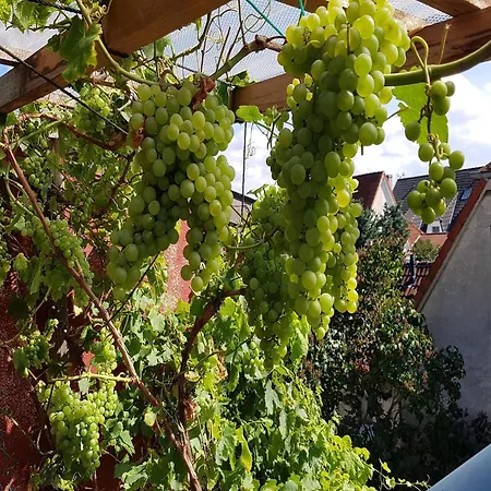 Gemuetlicher Mit Garten In Casa vacanze Nakenstorf